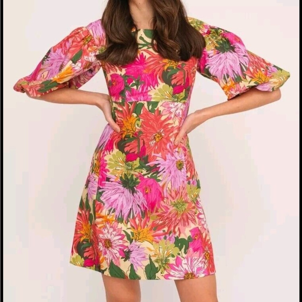 NEW Weekend by Max Mara Floral Dress small